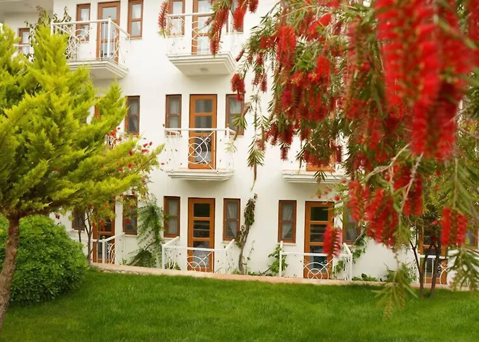 White 厄吕代尼兹